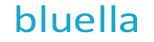 Bluella Free DNS Management Services