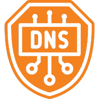 DNS DDoS protection icon