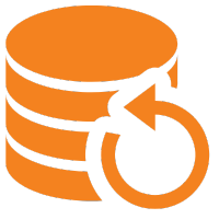 Maximum Storage and Backup Icon