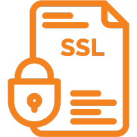 SSL Support Icon