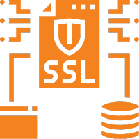 Secure Sockets Layer Icon