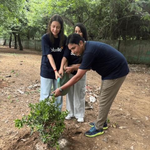 Environment Day – Tree Plantation Drive (6)